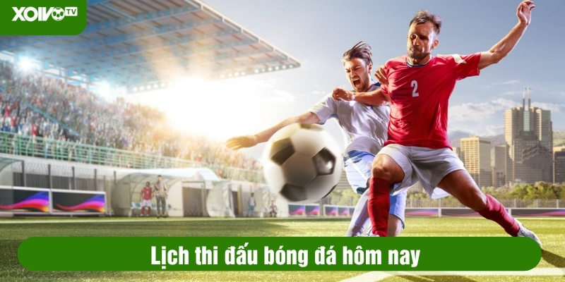 Lịch thi đấu